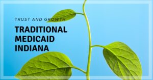 Traditional Medicaid Indiana